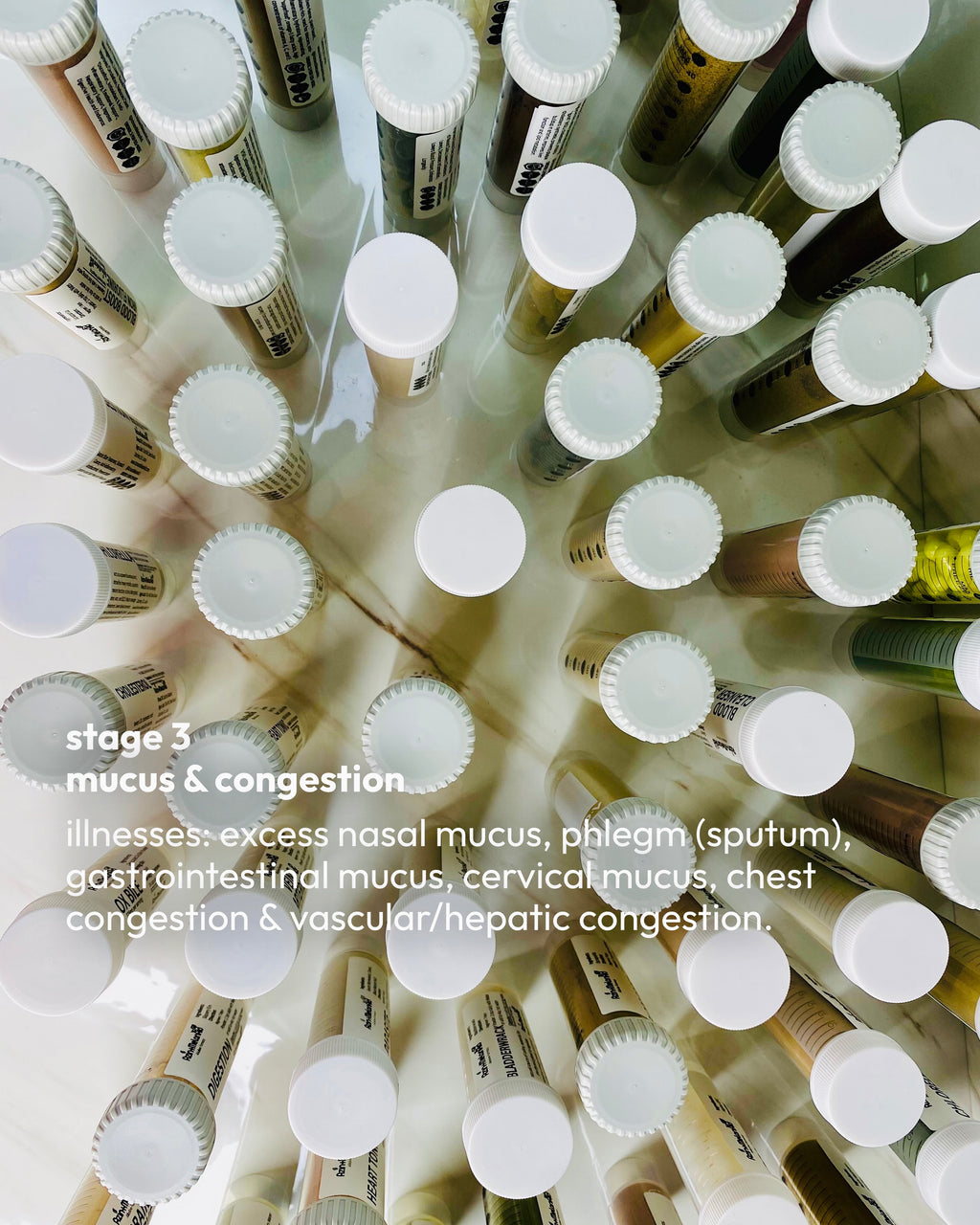 STAGE 3: MUCUS & CONGESTION SUPPORT