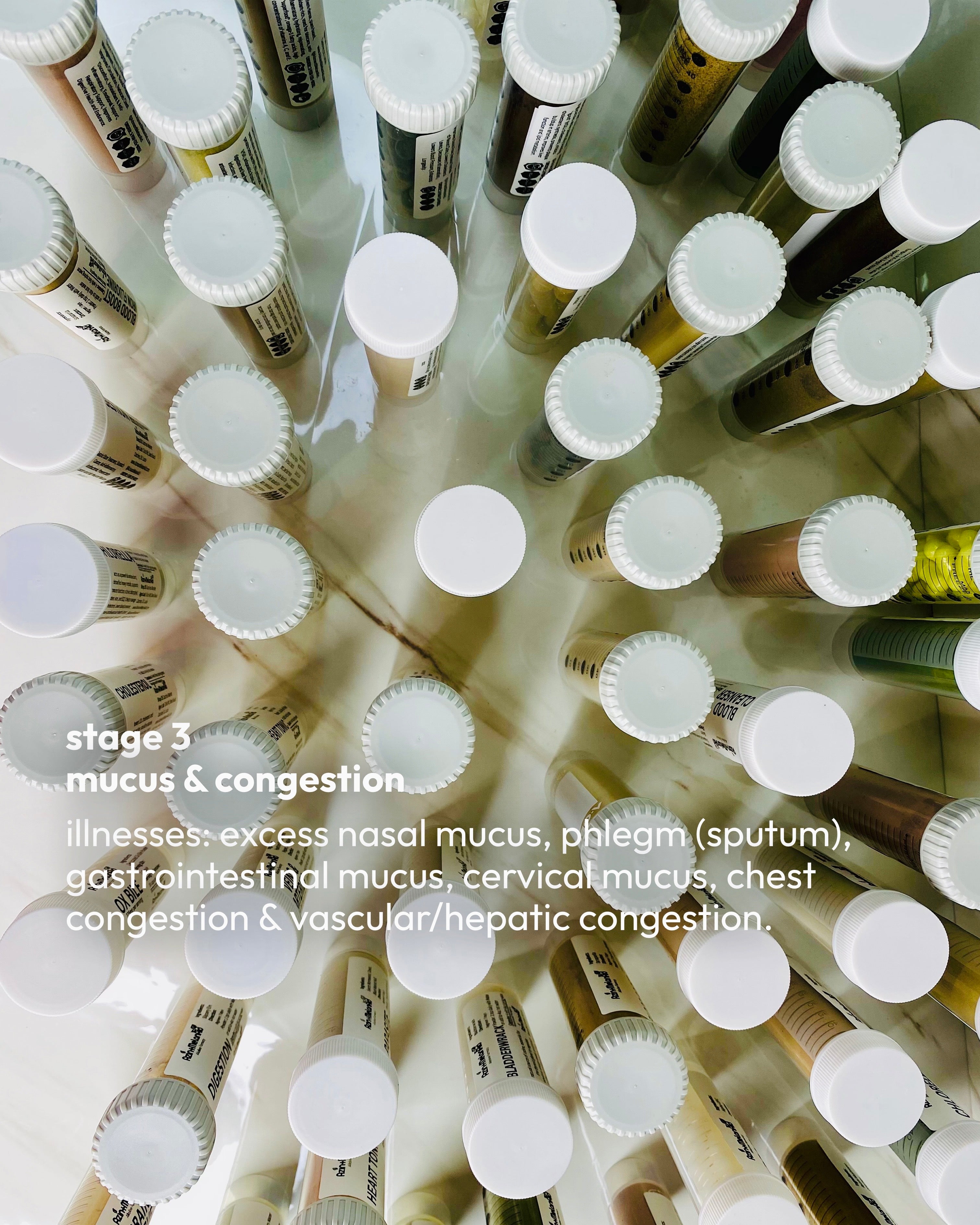 STAGE 3: MUCUS & CONGESTION SUPPORT