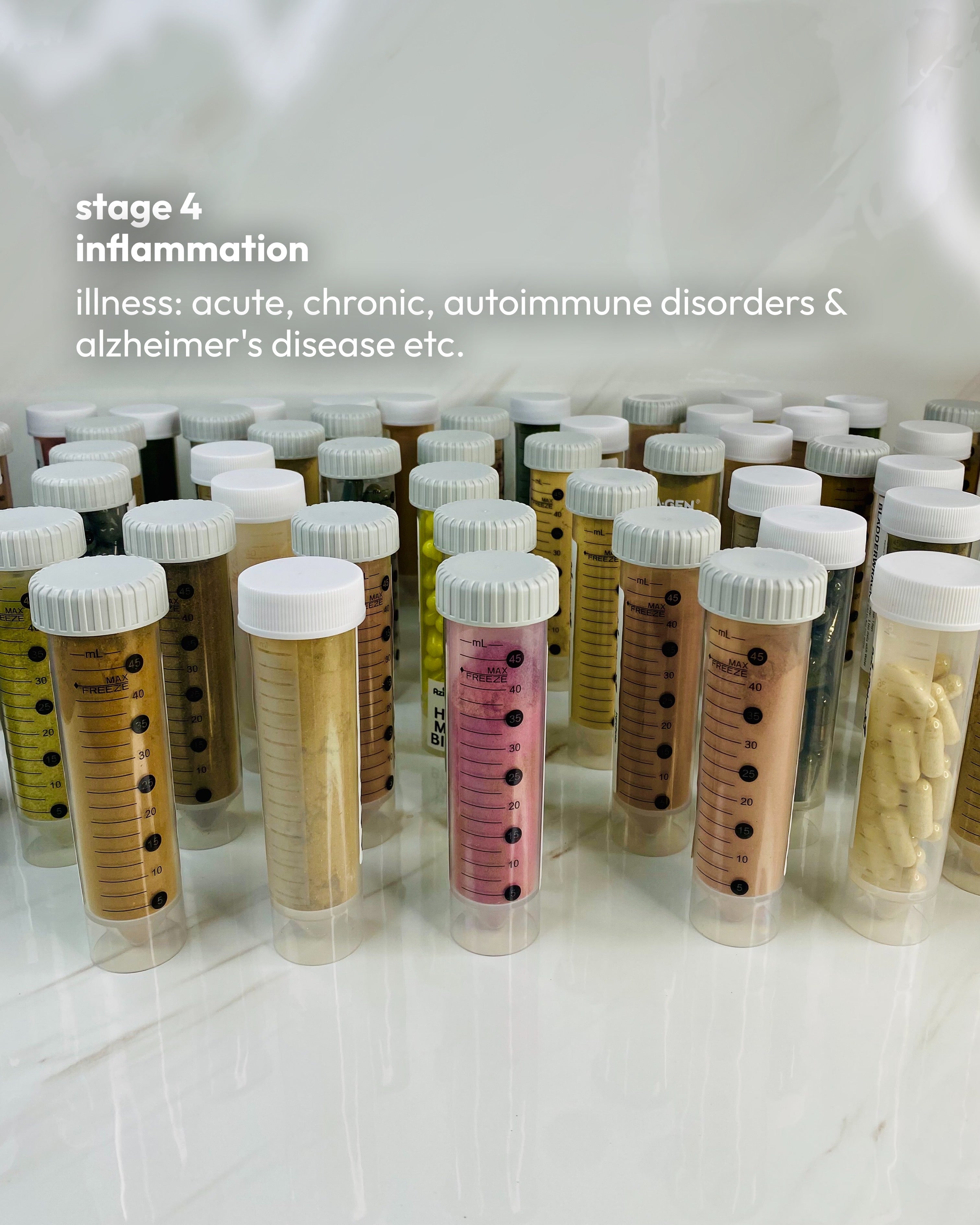 STAGE 4: INFLAMMATION SUPPORT